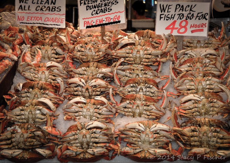 An artful display of fresh Dungeness crabs on ice.