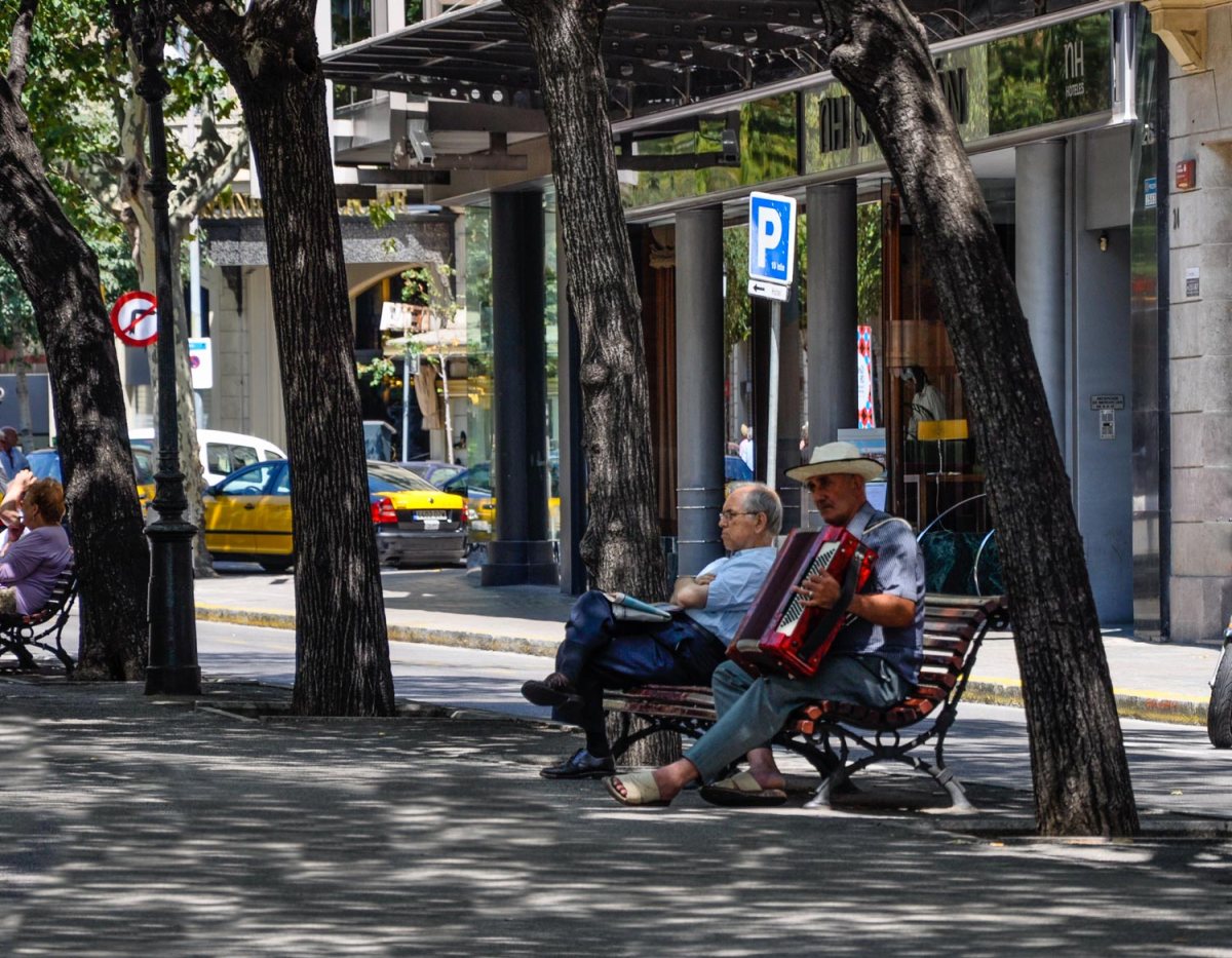 Under the shade of trees, two men sit on a bench, one playing an accordion, the other relaxing and listening.