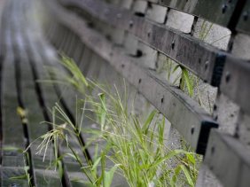 benches in New York City's Central Park