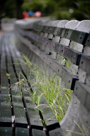 View of benches in New York City's Central Park