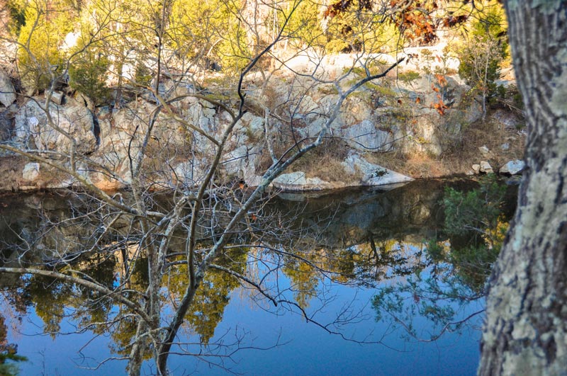 Looking through leafless tree branches across the lake to evergreen trees atop a rocky bluff, all reflected in the deep blue water.