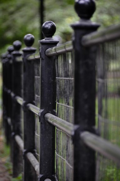 View of iron fence in New York City's Central Park