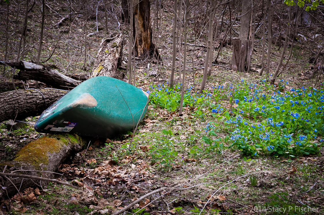 An overturned canoe rests atop a fallen tree trunk, while bluebells bloom around it.