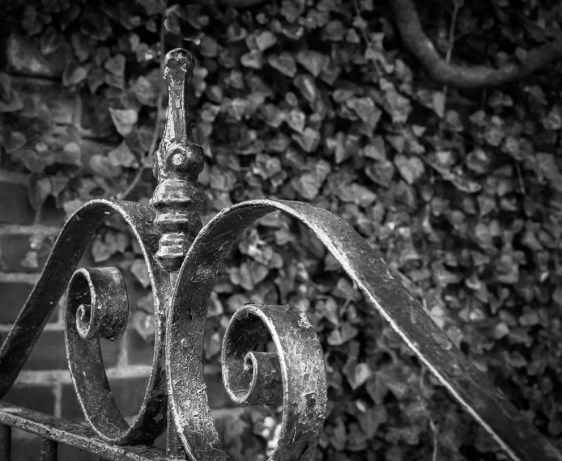 Close-up view of top finial and scrollwork of an iron gate against a backdrop of brick and ivy.