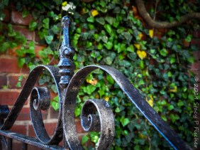 Photo of iron gate after color post-processing in Lightroom.