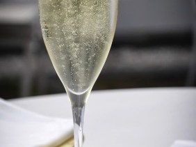 glass of bubbly champagne