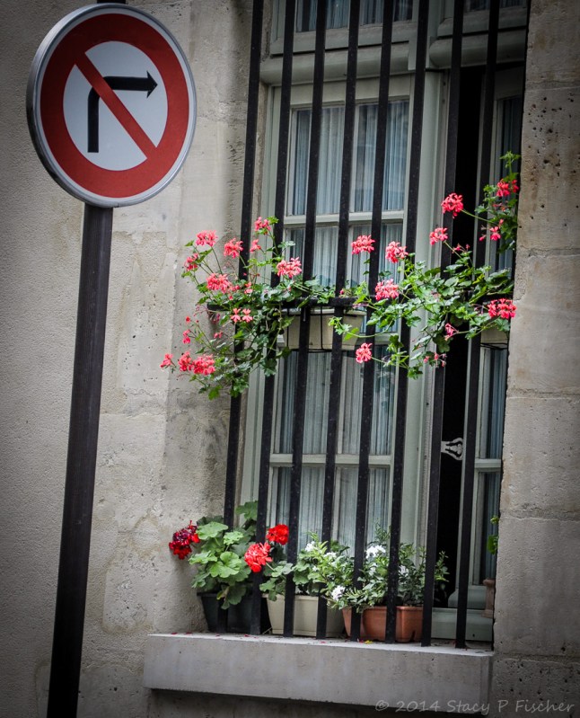 Red, white, and pink geraniums in flower boxes peak out between iron bars on wooden window.