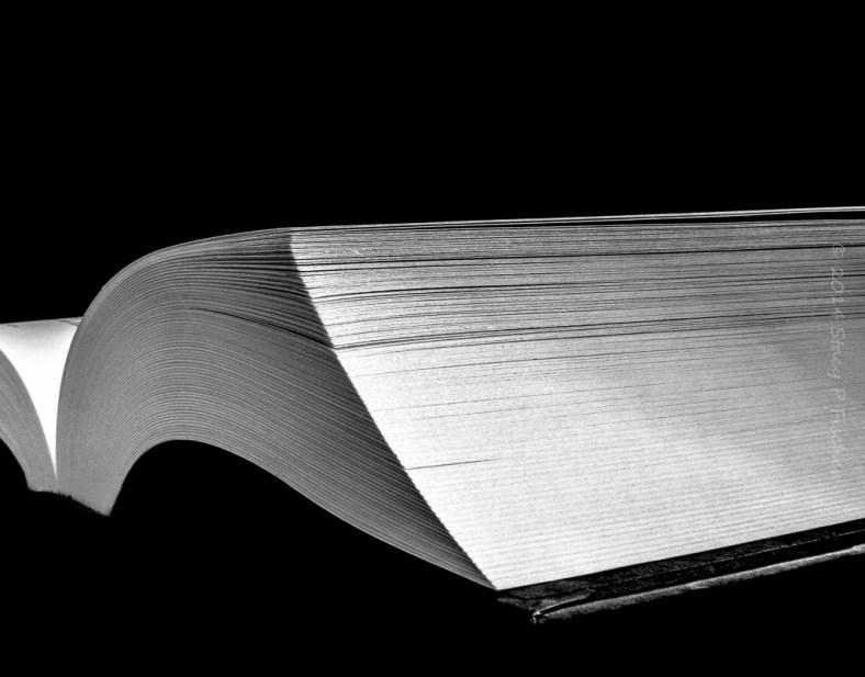 Pages; Photo: SPFischer Close-up corner view of pages in an open book.