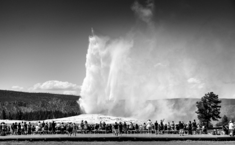 Old Faithful in mid-eruption