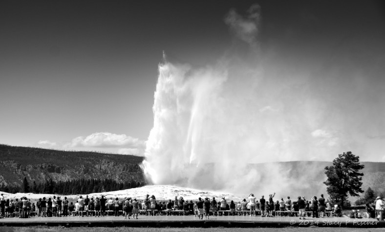 Old Faithful Geyser in mid-eruption