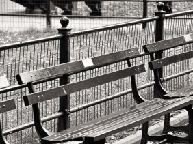 Benches, New York City Central Park