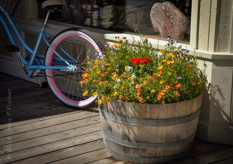 Yellow, orange, red, purple, and white flowers bloom in a whisky barrel planter, bathed by the sun.