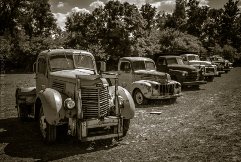 Katie Prior, Drawing with Light