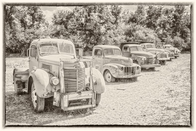 Stacy Fischer After 31