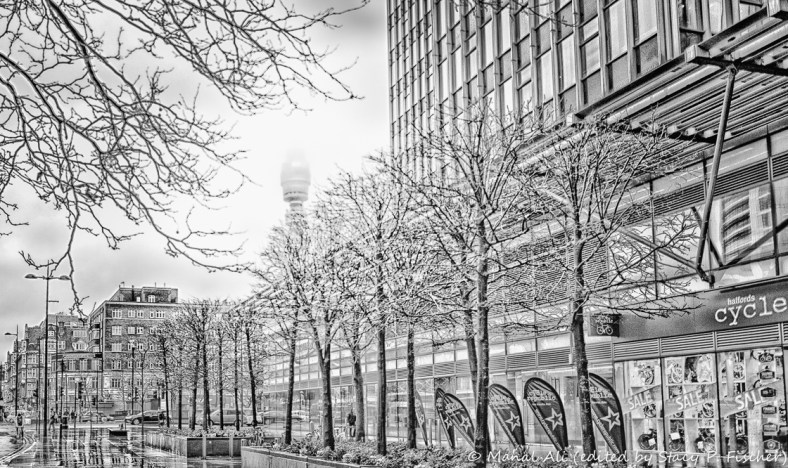 Stacy Fischer, Visual Venturing, One Photo Focus February B&W