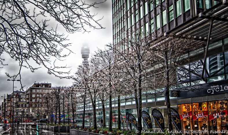 Stacy Fischer, Visual Venturing, One Photo Focus Feb