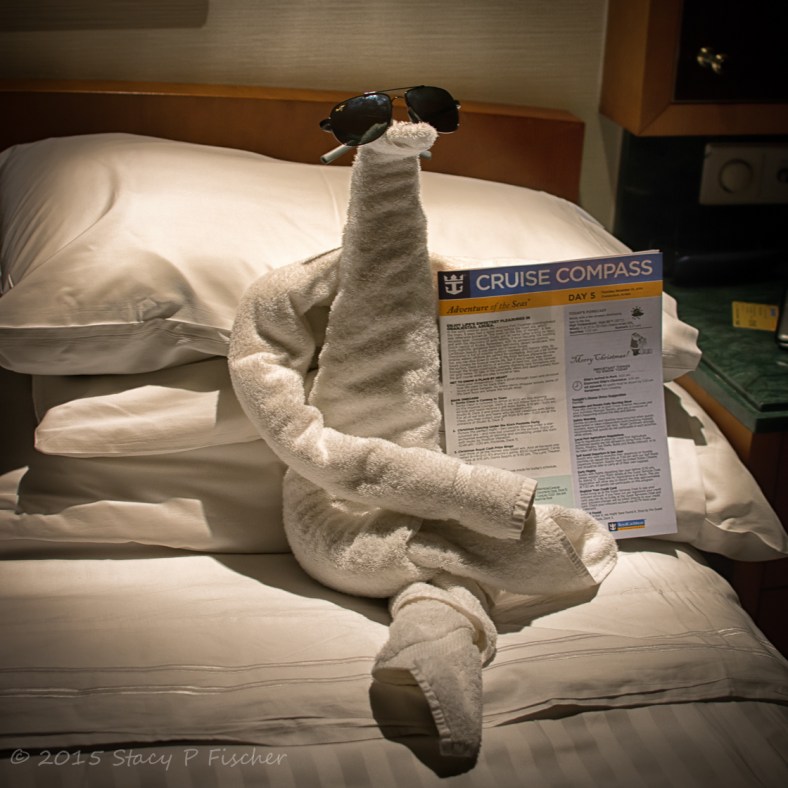 Towel animal on Royal Caribbean Cruise Line
