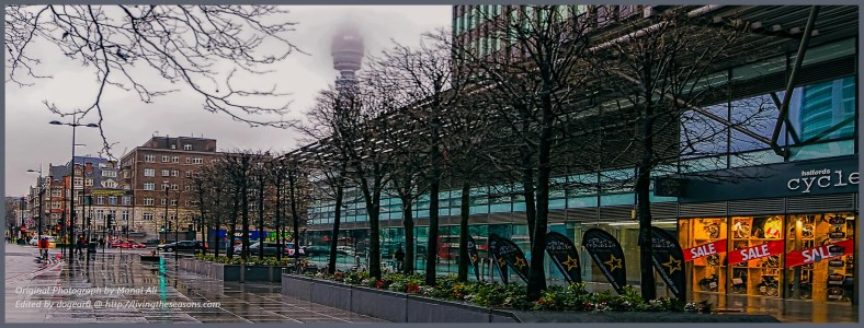 Nancy / dogear6, Living the Seasons