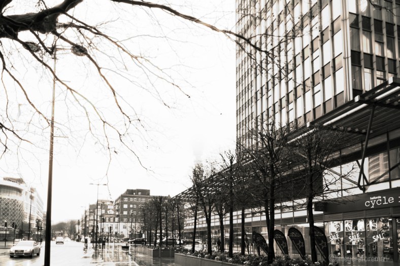 Janice Meyers Foreman, jmeyersforeman photography