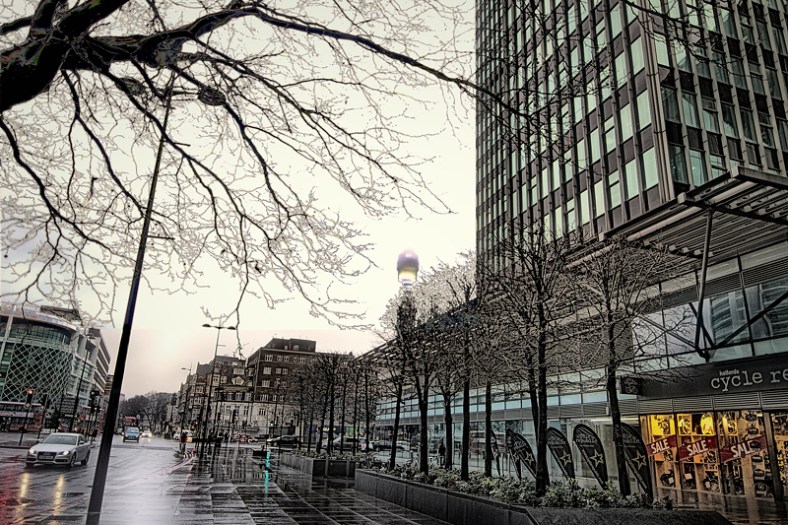 Lynne Ayers, Beyond the Brush Photography