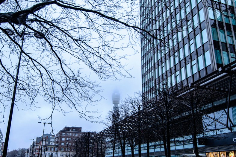 Manal Ali, A Single Shutter