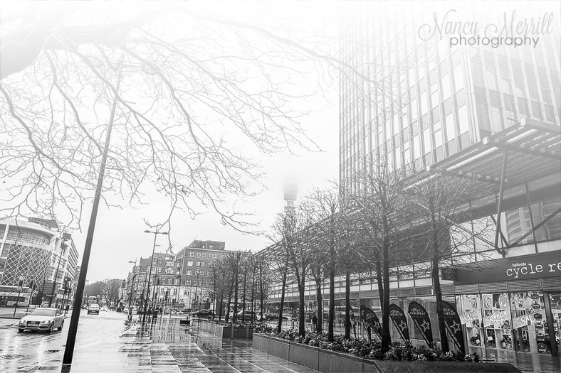 Nancy Merrill, Nancy Merrill Photography