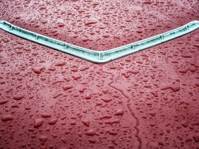 Red Thunderbird hood after rain