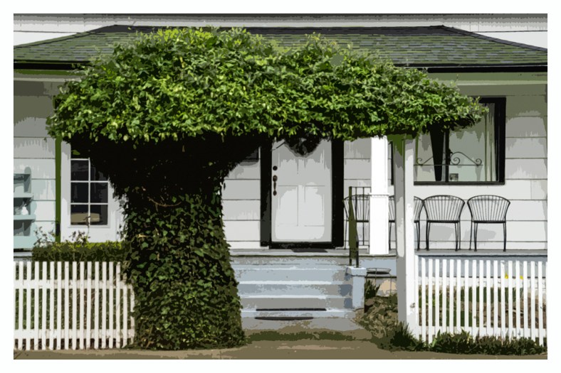 Anne-Cécile, UnClicUnePhoto