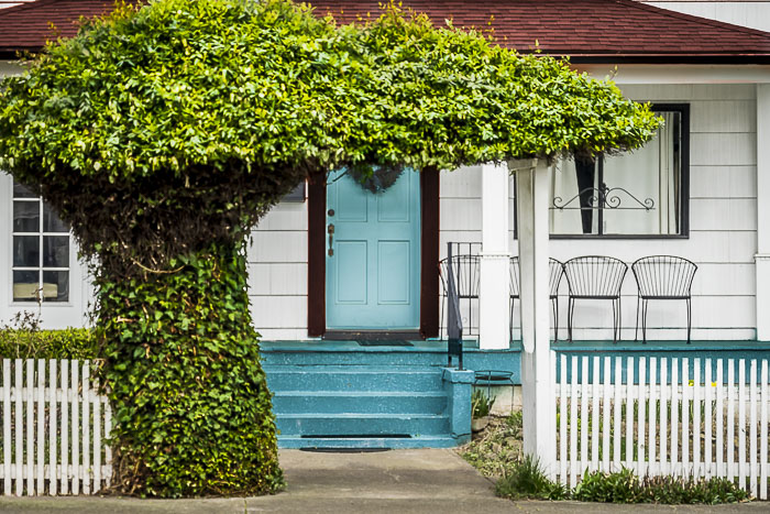 Cee Neuner, Cee's Photography