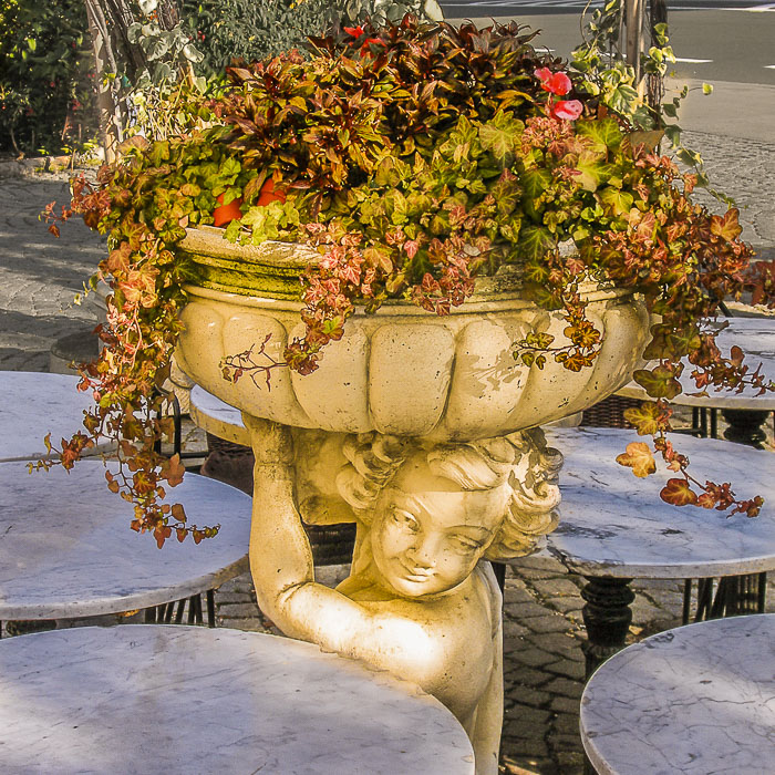 Cee Neuner, Cee's Photography