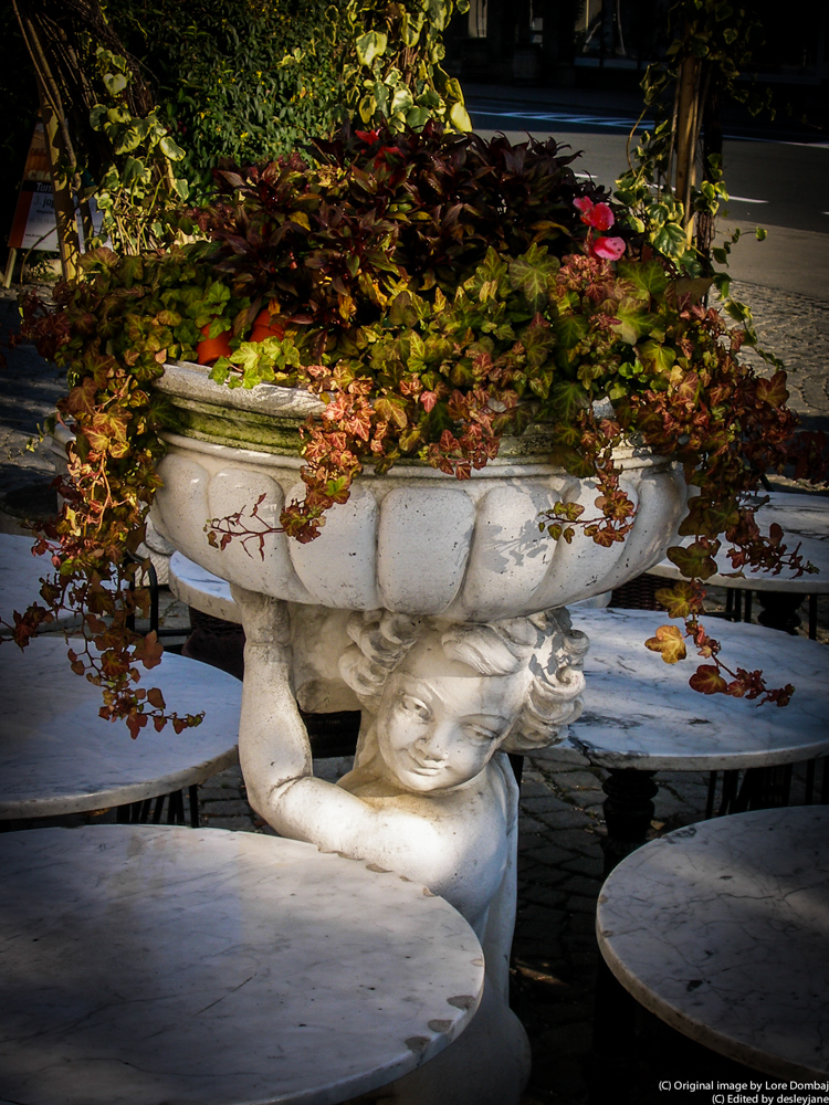 desleyjane, Musings of a Frequent Flying Scientist