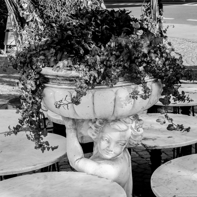 desleyjane, Musings of a Frequent Flying Scientist