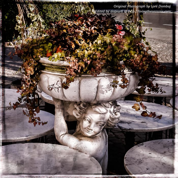 Nancy / dogear6, Living the Seasons