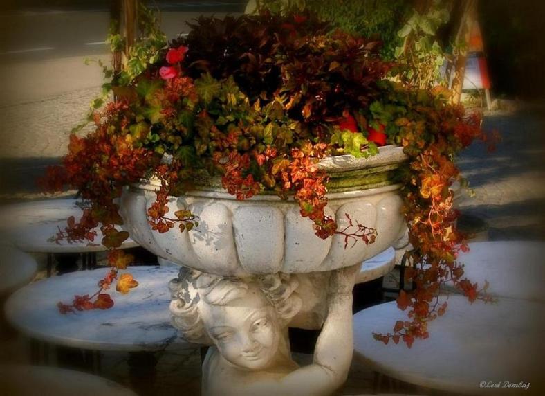 Loré Dombaj, Snow's Fissures and Fractures