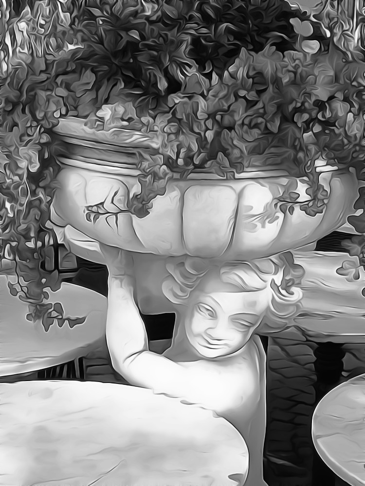 Nic Anderson, Photography by Nic