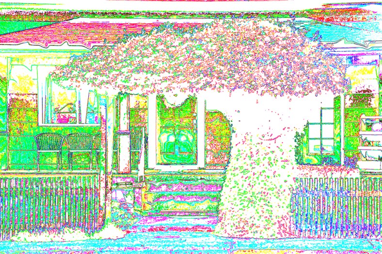 Robin Kent, PhotographybyKent