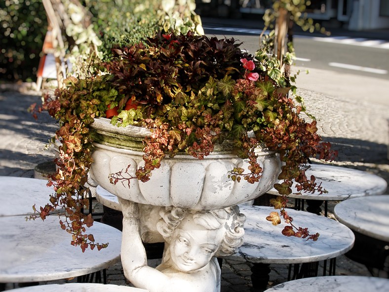 Sara Poyfair, sarapoyfairphotography.com