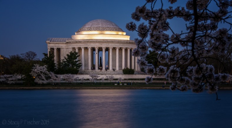 2015 Cherry Blossoms-4