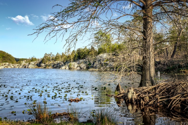 Black Pond on The Madeira School campus in McLean, Virginia.