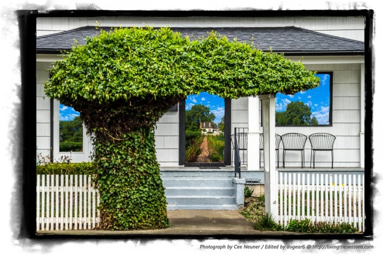 Nancy / dogear6, Living the Seasons