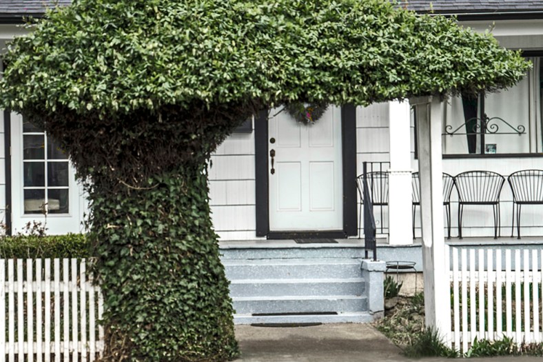 Helen Chen, HHC Blog