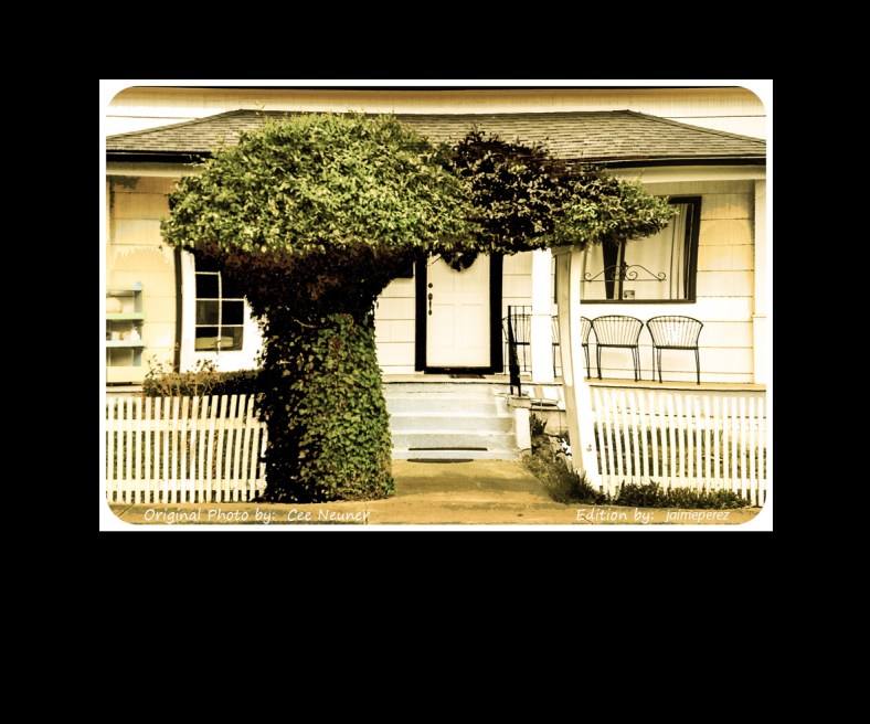 Jaime Perez, My Photolanguage