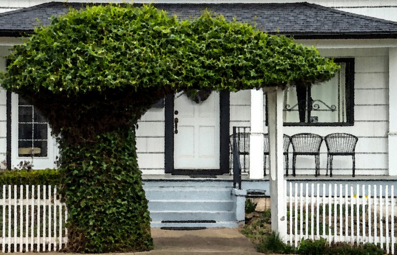 Janice Meyers Foreman, jmeyersforeman photography