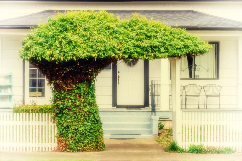 Klara, Sliku svoju ljubim II