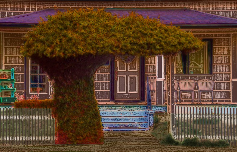 Michelle Lunato, Michelle Lunato Photography