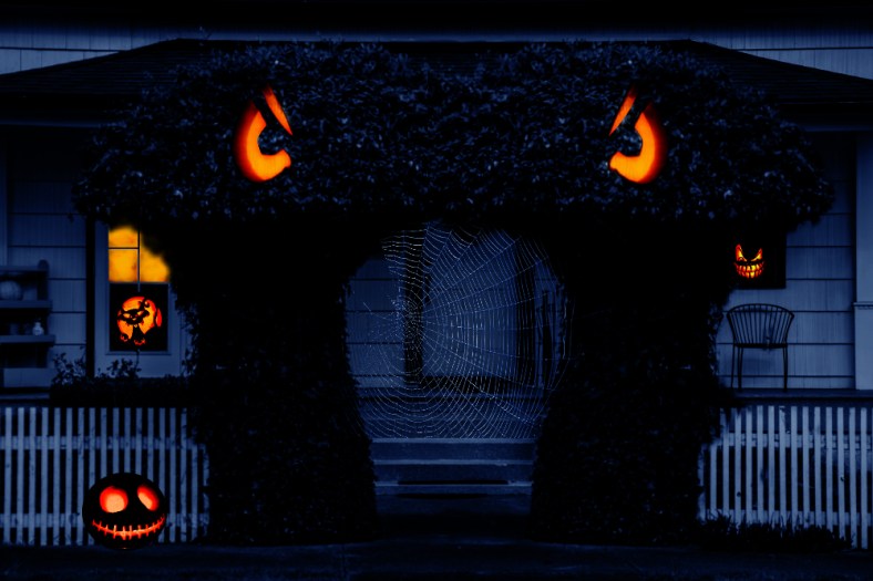 Nic Anderson, Photography by Nic