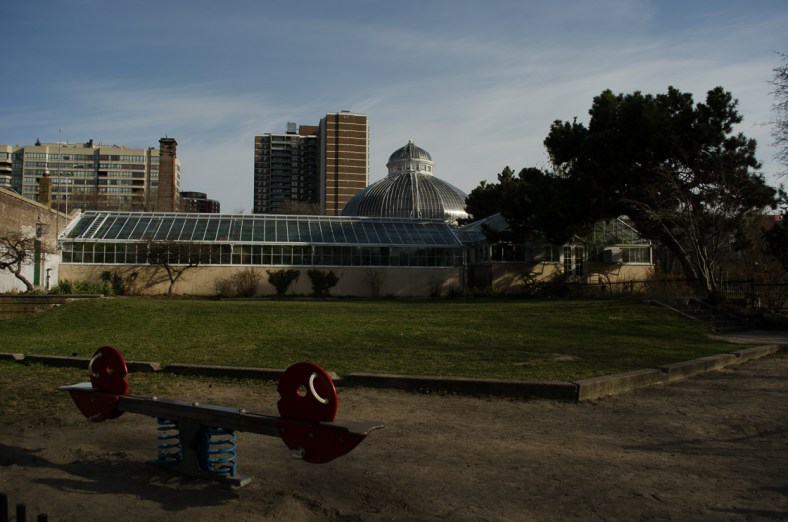 Shane Francecut One Photo Focus May