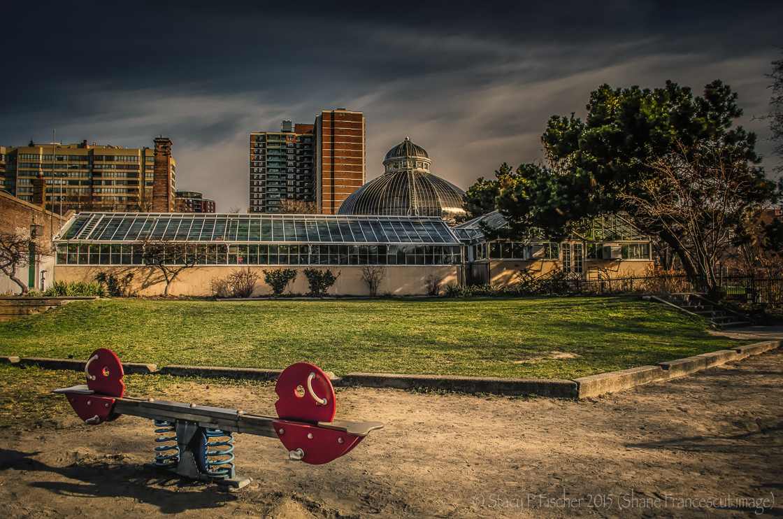 Teeter-Totter, Edited by Stacy P. Fischer