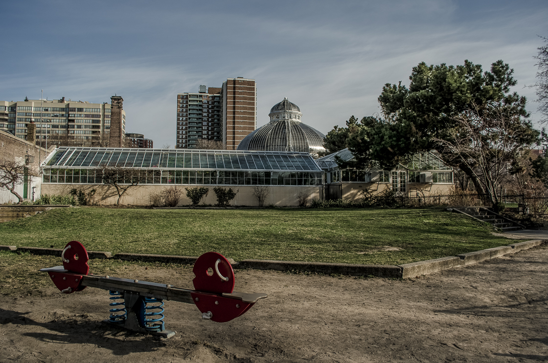 Shane's Original Image