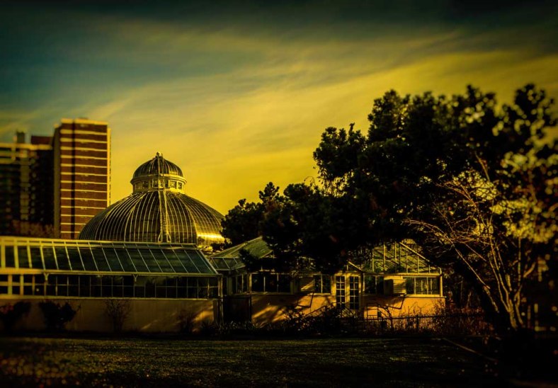 Amy, The World Is a Book